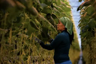 Капитал - Спрос на валюту со стороны предприятий упал