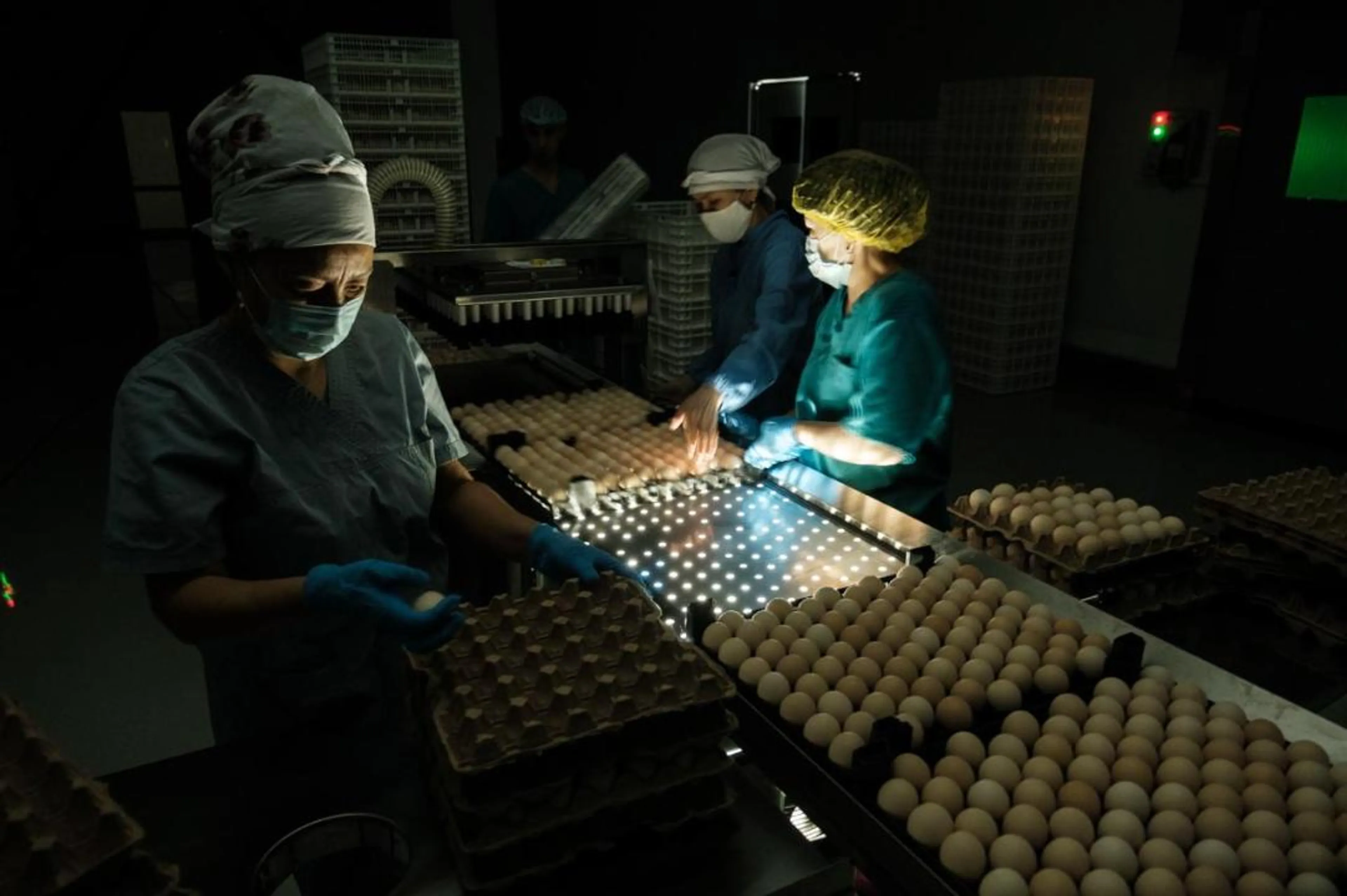 Фото: МСХ РК