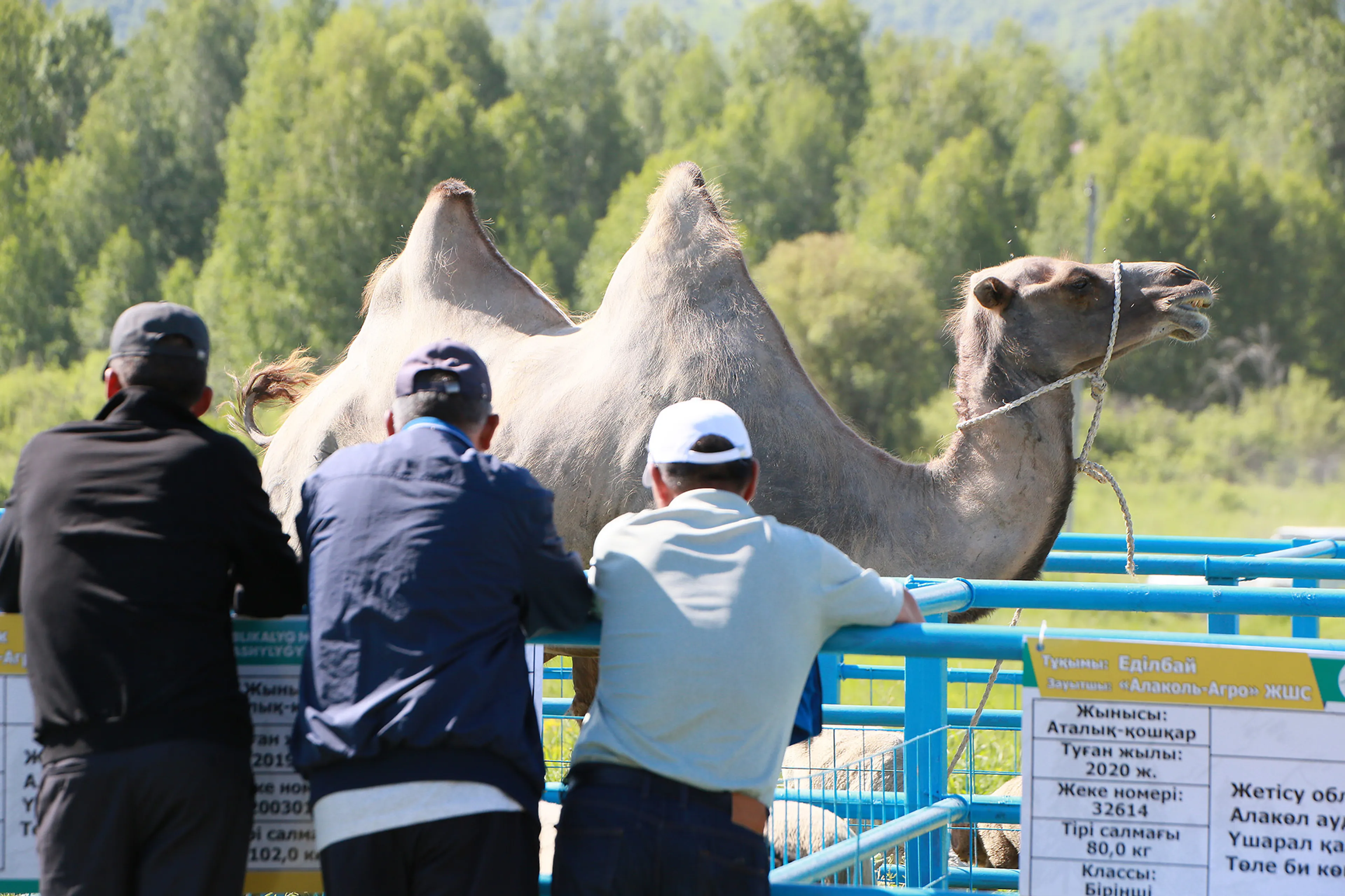 Фото: Руслан Пряников