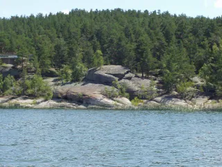 Капитал - У Борового появится конкурент