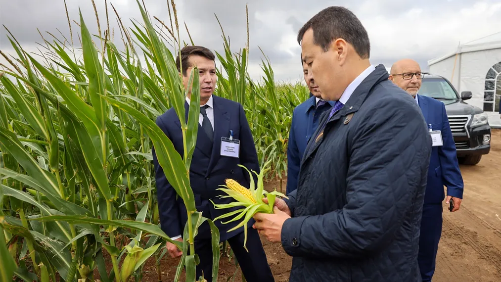 Капитал - Необходимо создать «зеленый пояс» вокруг Павлодара - премьер