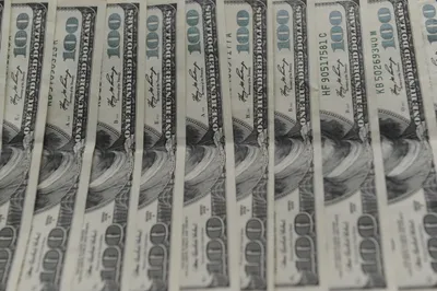 Фото: Владимир Третьяков