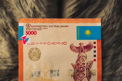 Фото: Валерия Змейкова