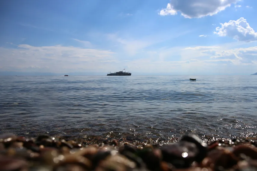 Капитал - Бабр, нерпа и Байкал — зачем лететь в Иркутск летом?