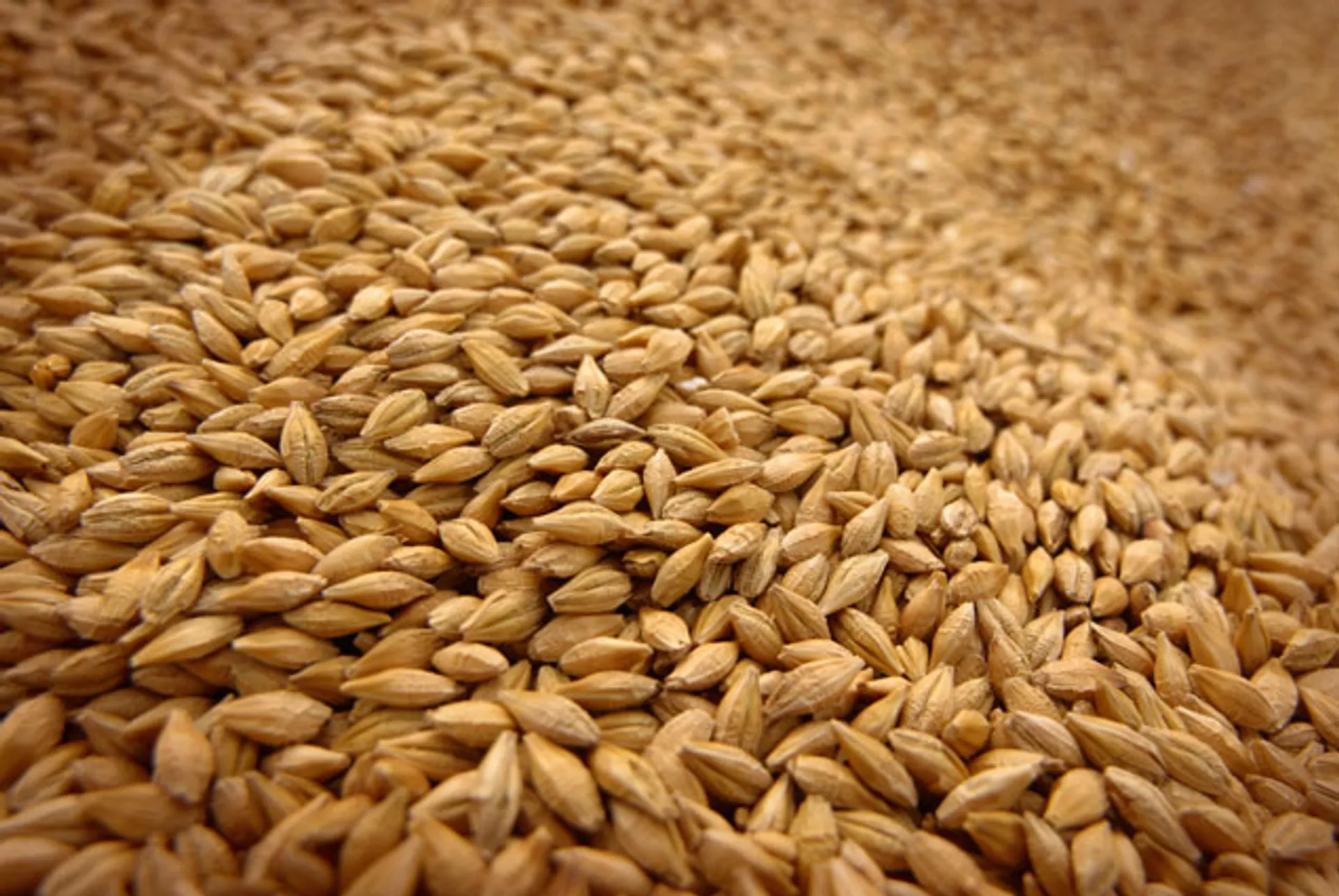 Капитал - Продкорпорация поможет регионам