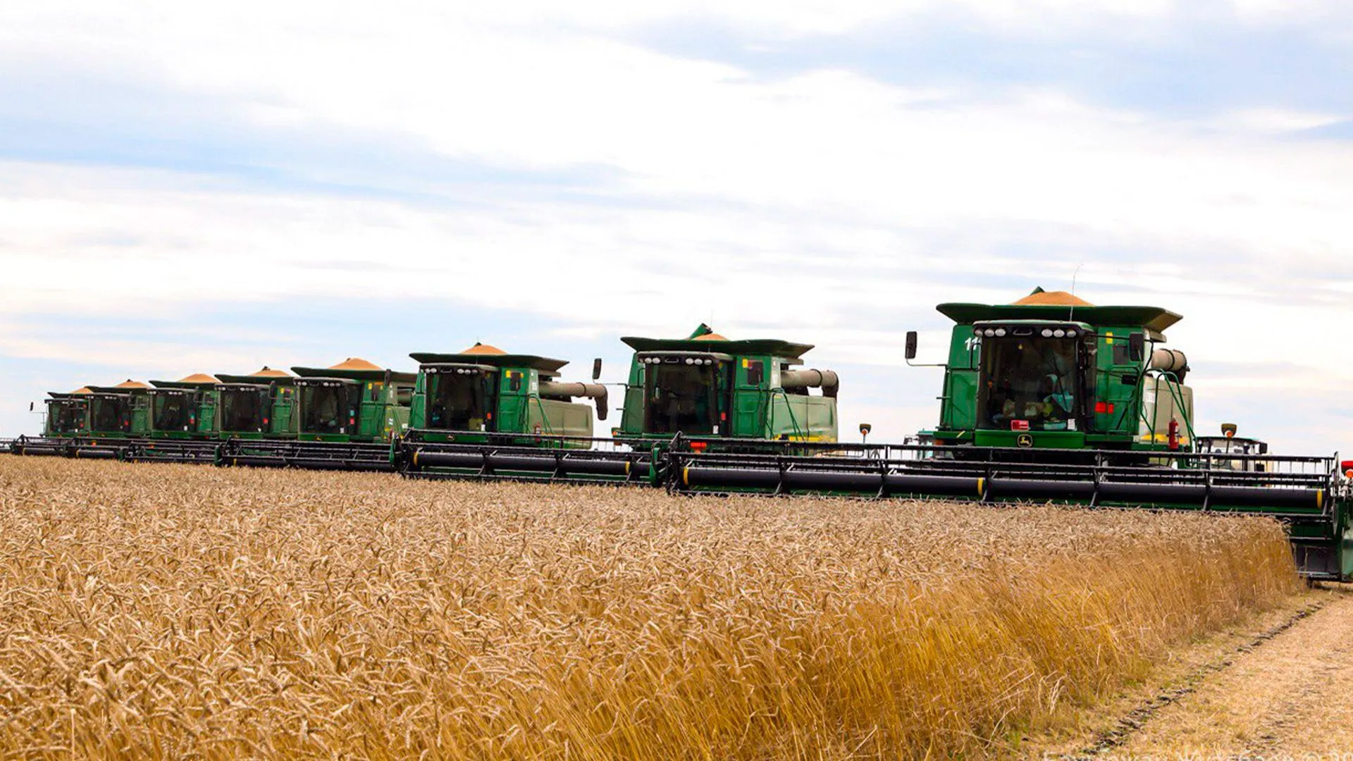  На поддержку зерновой отрасли выделено 40 млрд тенге