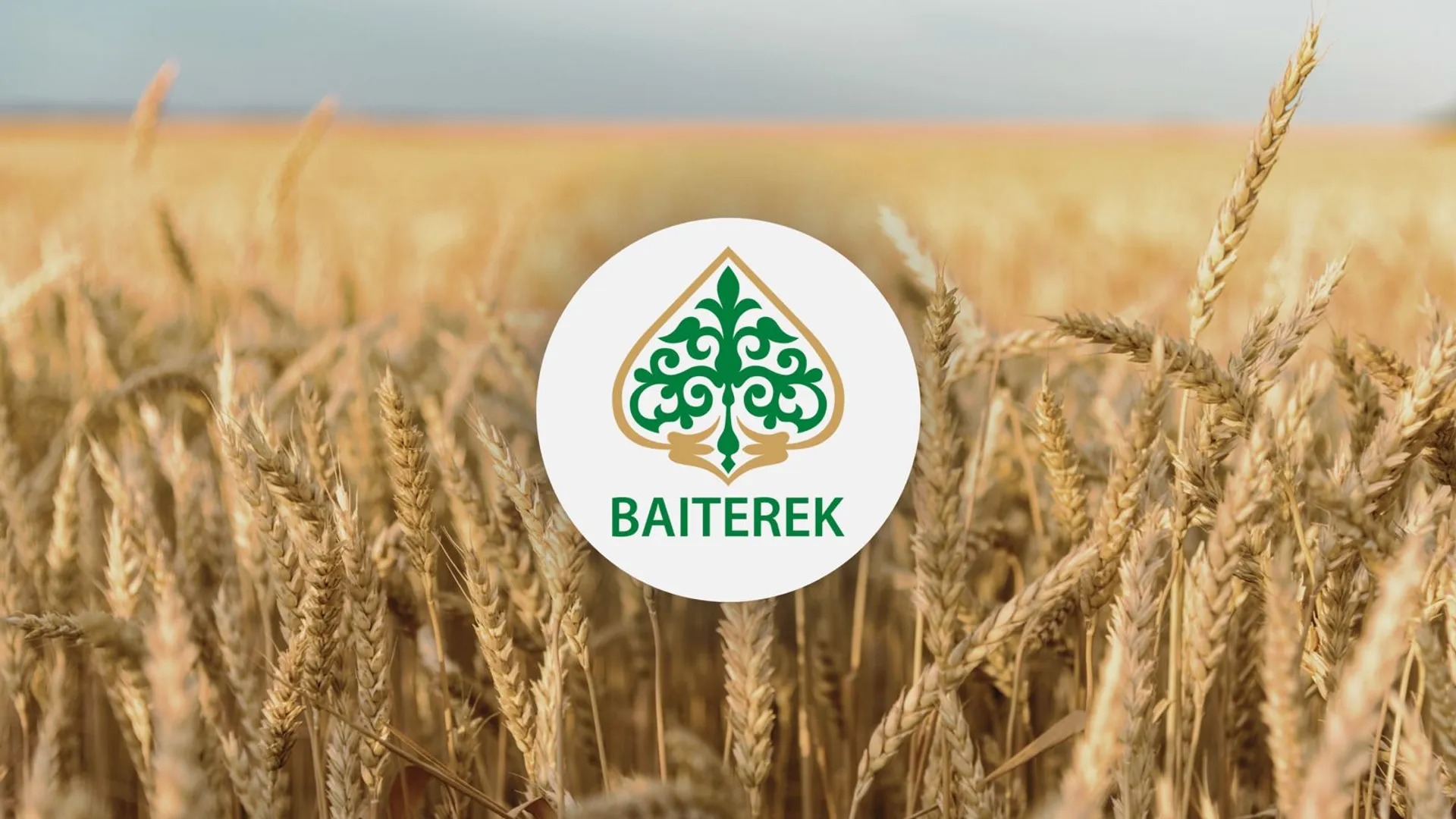 Капитал - Завод по глубокой переработке пшеницы появится в Казахстане