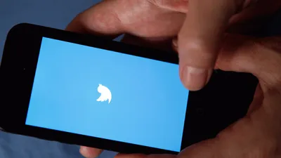 Twitter может ввести платную подписку