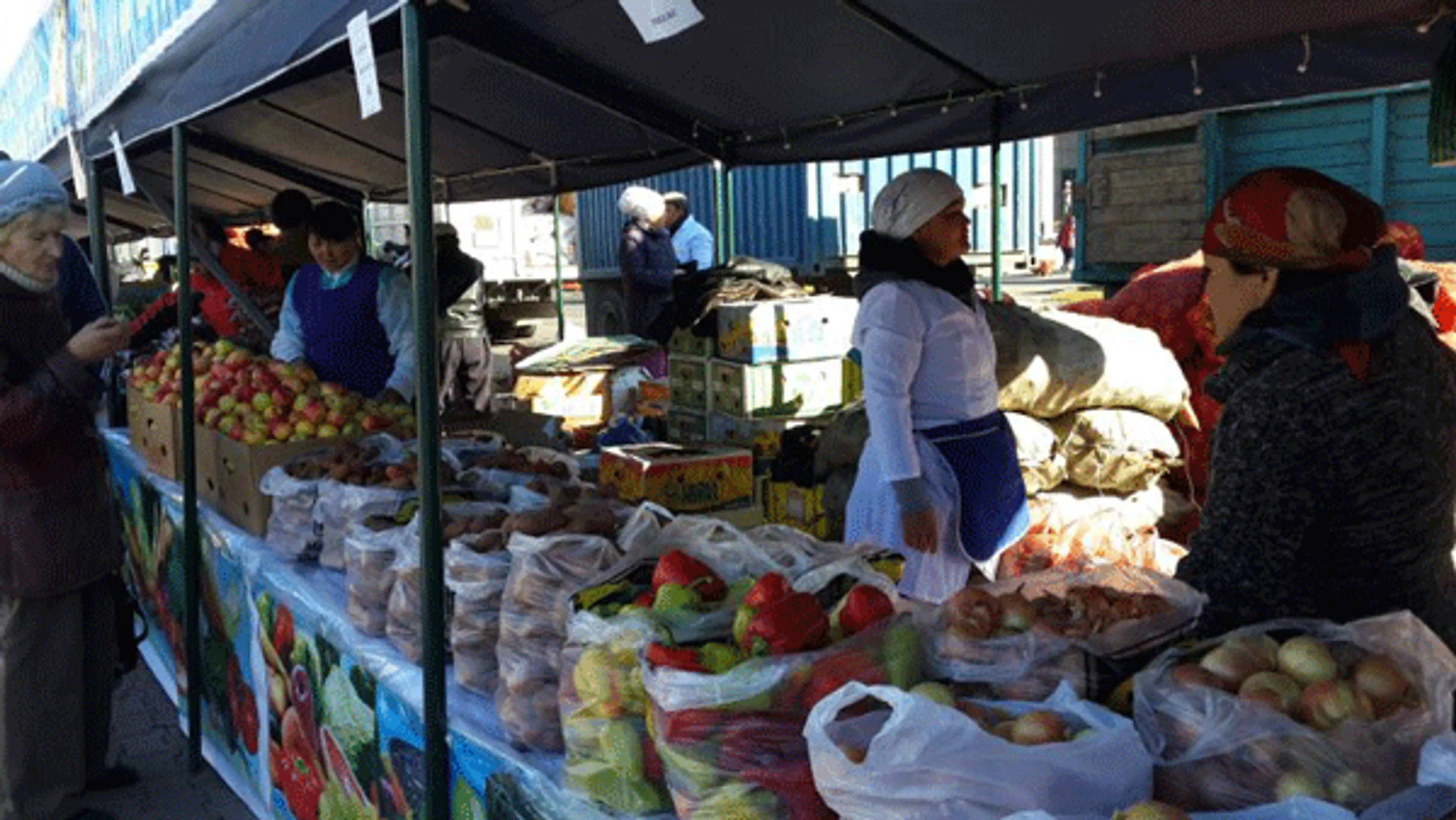 Капитал - Южные регионы привезли в Астану около 700 тонн продуктов