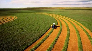 Капитал - Дорожную карту по противодействию коррупции разрабатывают в сельском хозяйстве