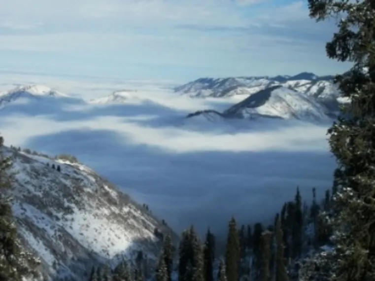 Капитал - Мэлс Елеусизов обеспокоен судьбой Кокжайлау