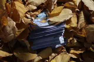 Капитал - Тенге закрыл осенние торги в минусе