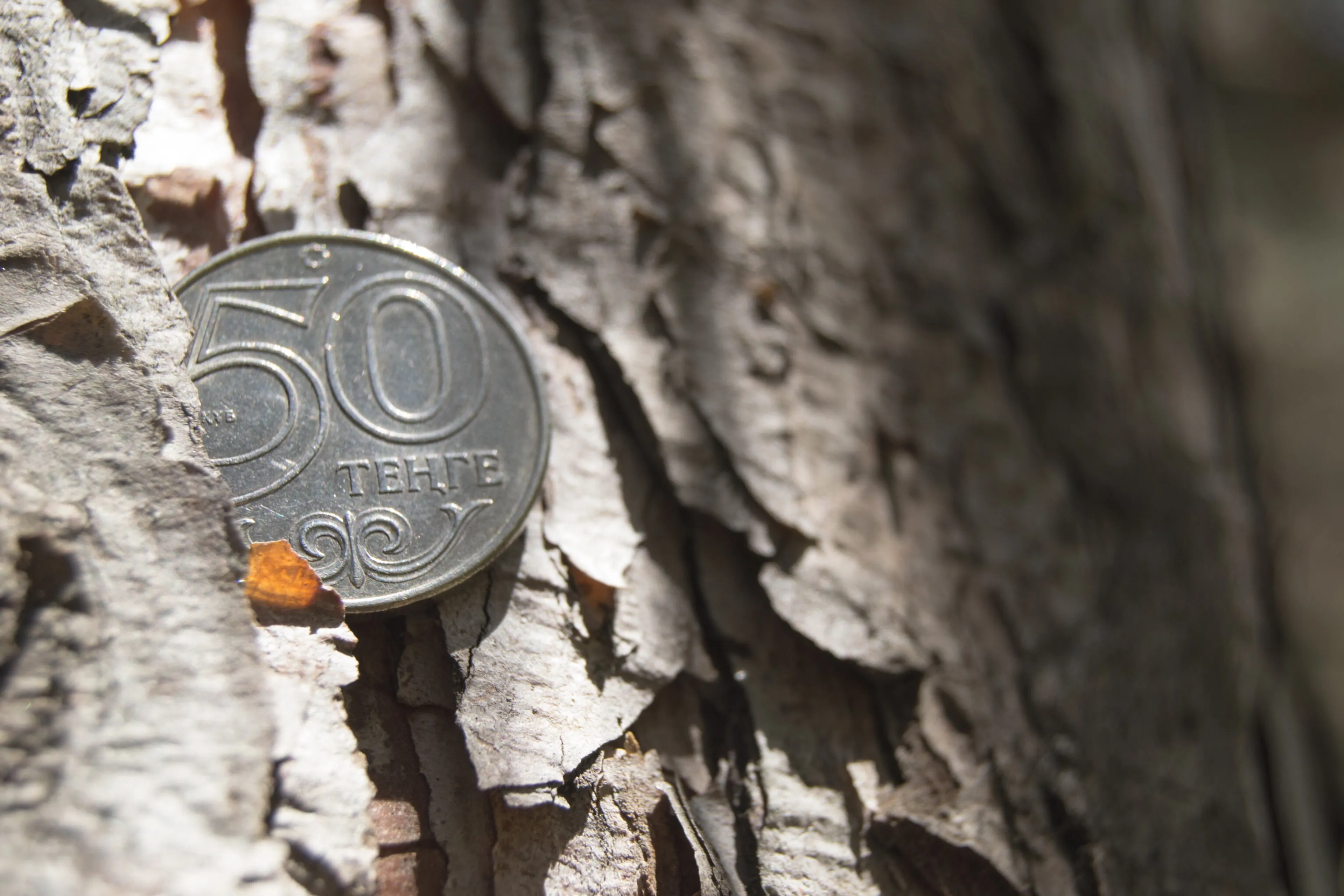 Капитал - Тенге завершил неделю в минусе