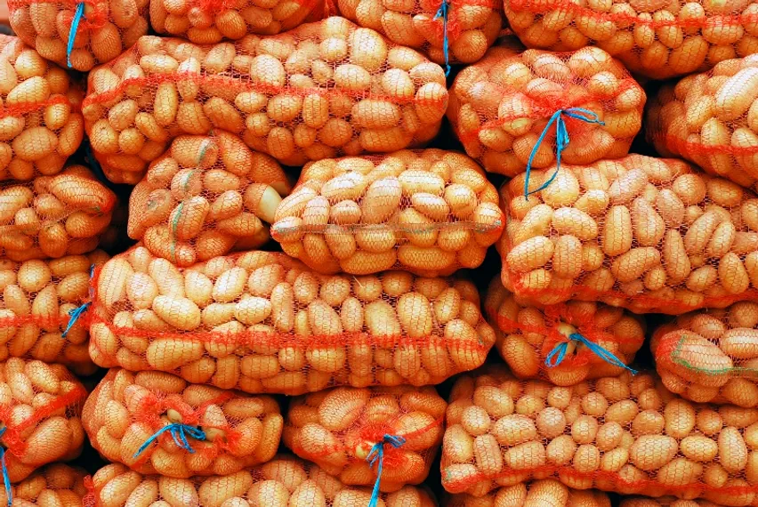 Капитал - Стабфонды заполнены социально значимыми продуктами всего на 15%