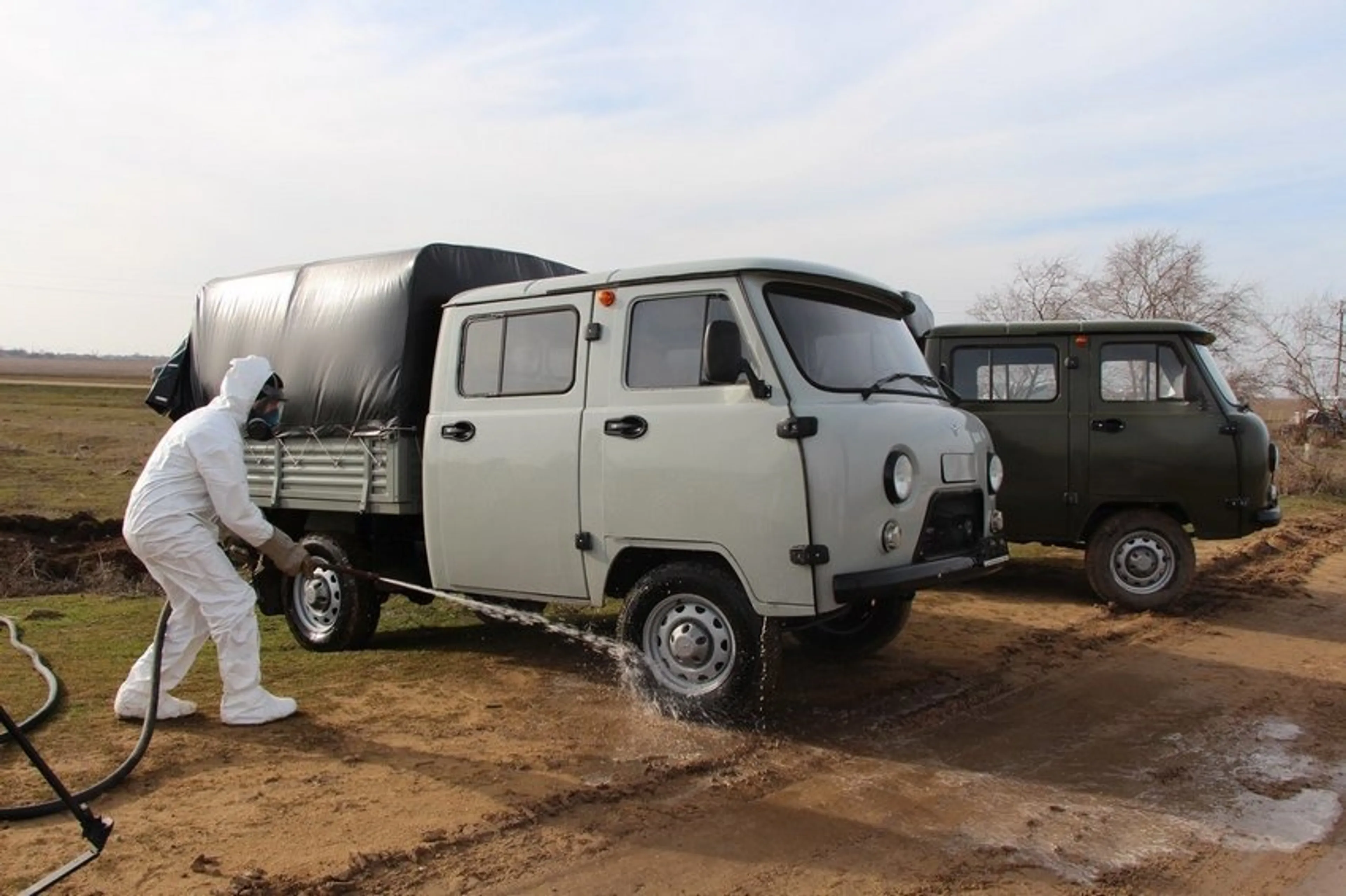 Капитал - Из-за сибирской язвы в поселке Карагандинской области объявлен режим ЧС