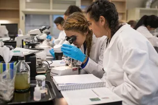 Капитал - К новой модели подготовки научных кадров намерен перейти Казахстан