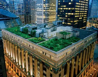 Капитал - В США строят парки на крышах небоскребов