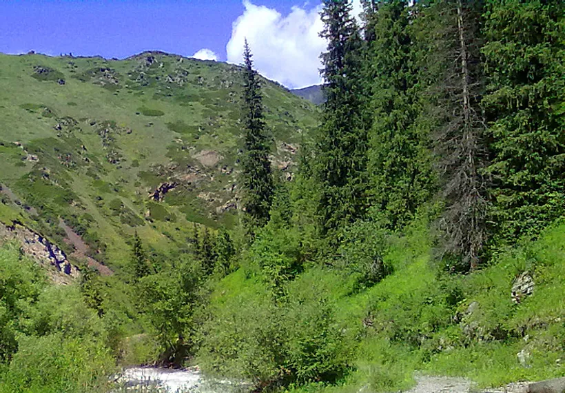 Капитал - Отдых под Алматы на всех направлениях