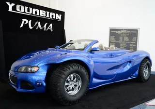 Капитал - Неоднозначный Youabian Puma