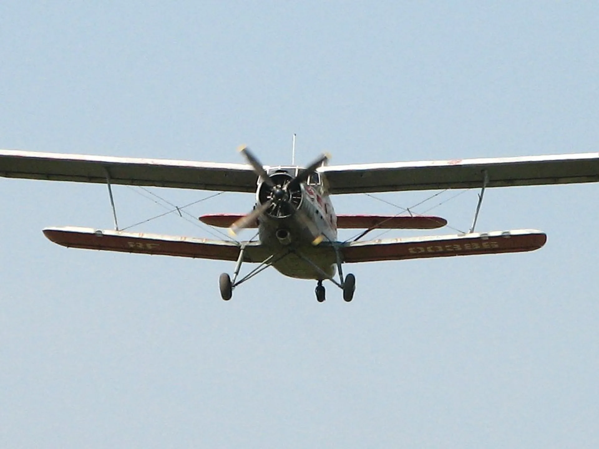 Капитал - В Кызылординской области разбился второй АН-2