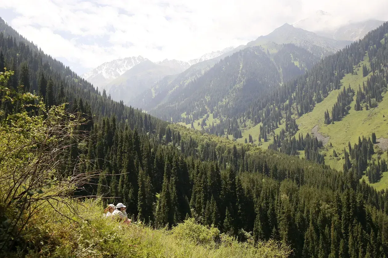 Обеспечить детям на каникулах бесплатный доступ к музеям и нацпаркам поручил премьер