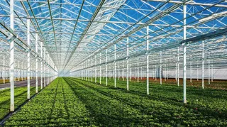 Капитал - Тепличный бизнес Казахстана будет сотрудничать с Ассоциацией малой энергетики России