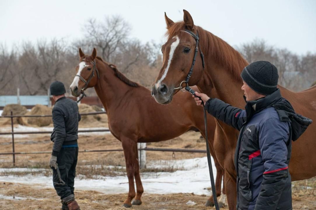 Фото: Министерство сельского хозяйства РК 