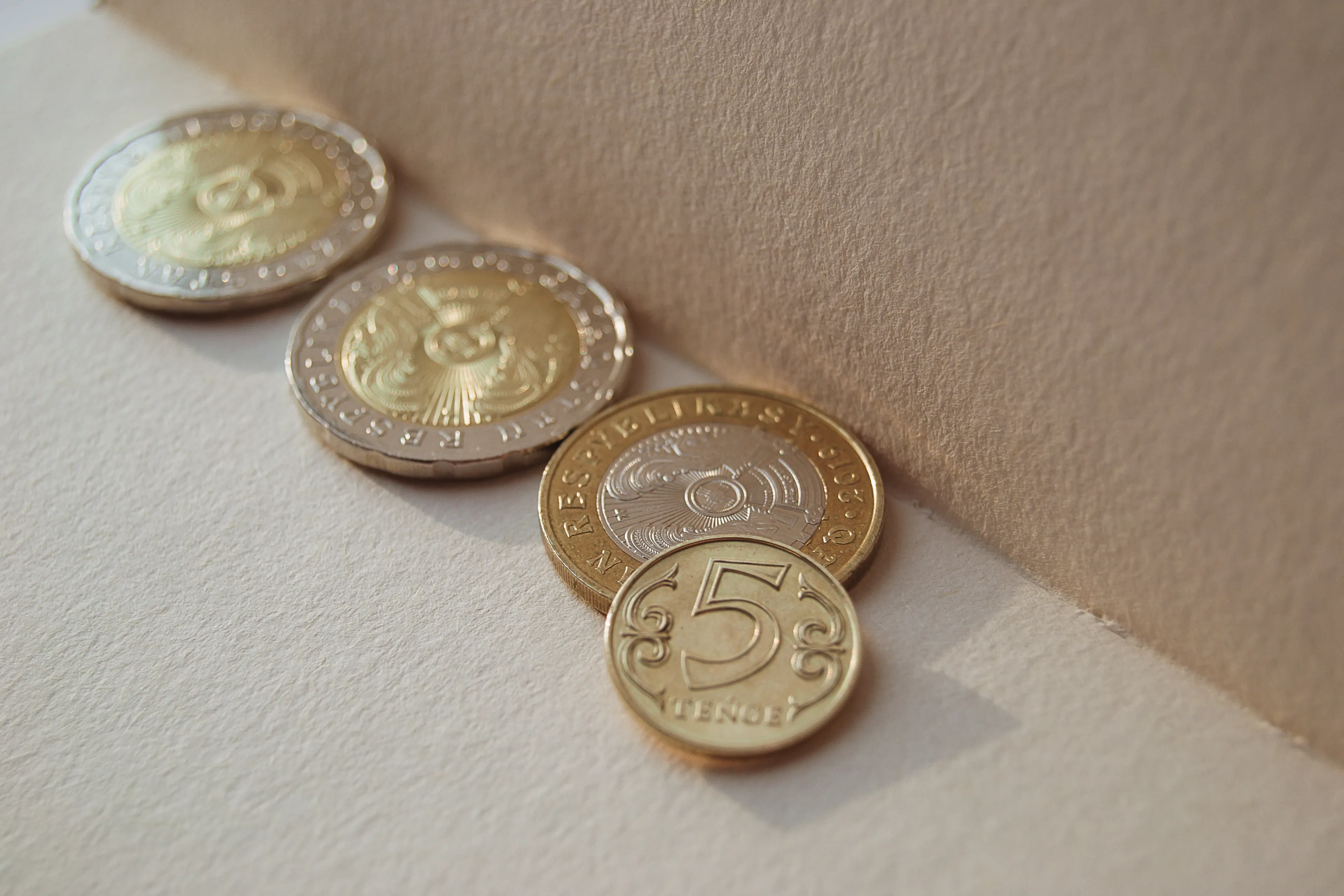 Фото: Валерия Змейкова