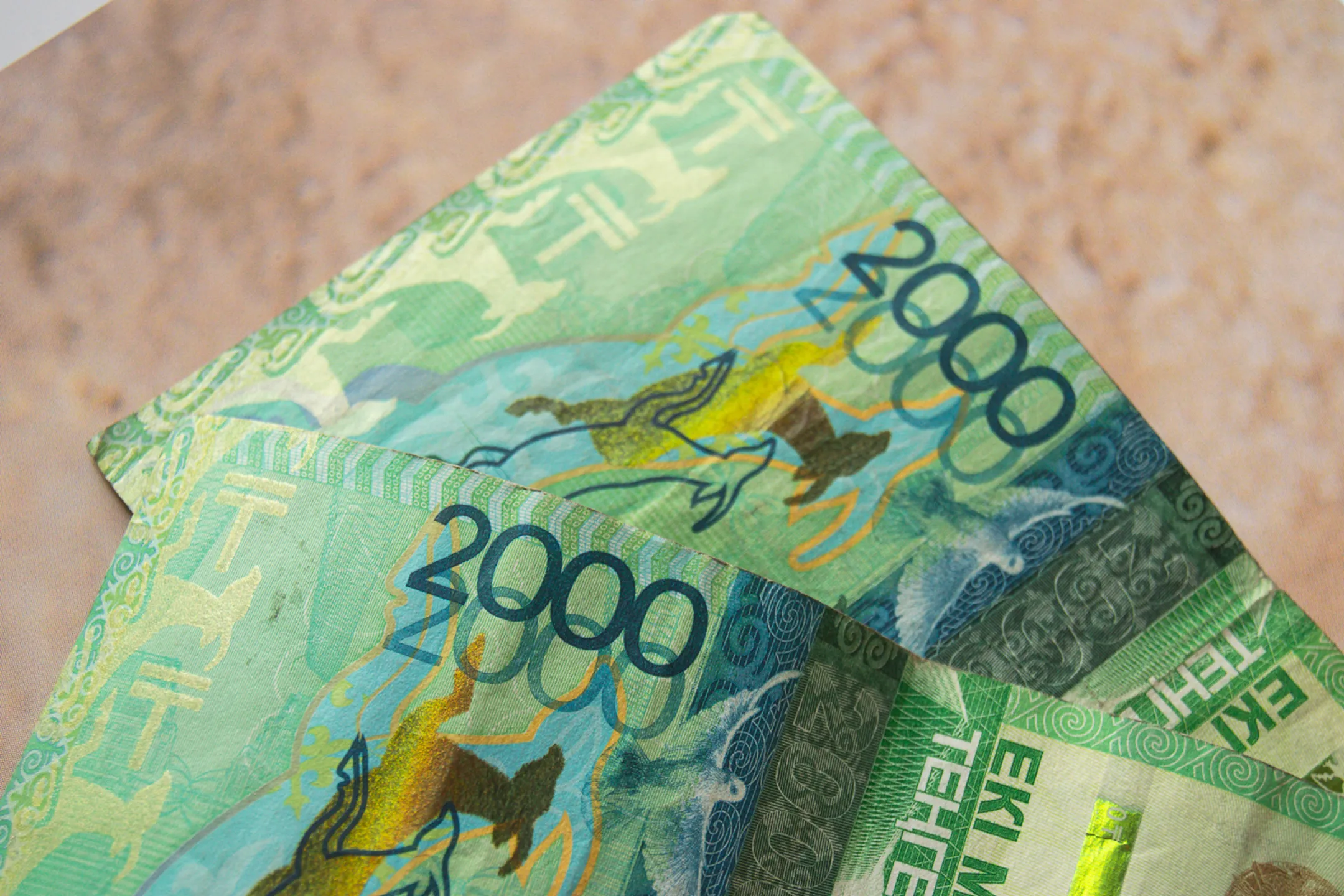 Фото: Валерия Змейкова