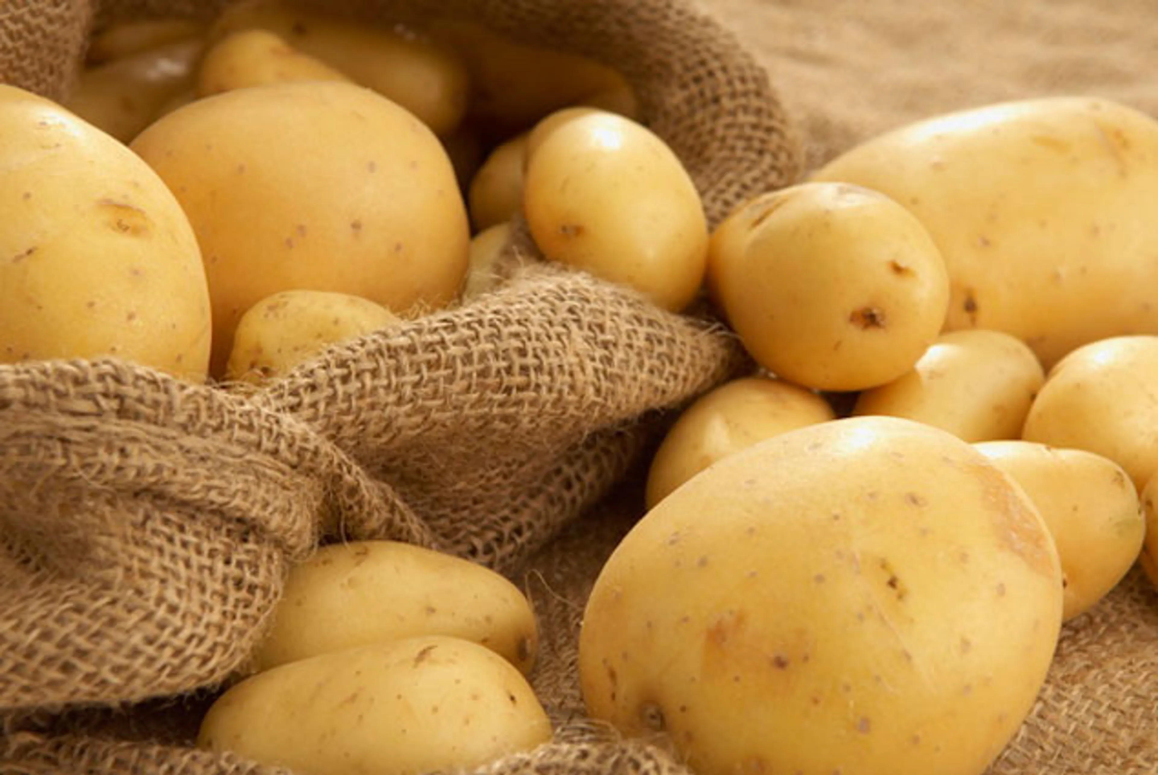 Капитал - В Актюбинской области запускаются новые промышленные проекты