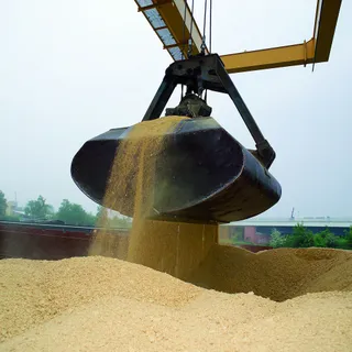 Капитал - Комбикормовый завод откроется в Акмолинской области