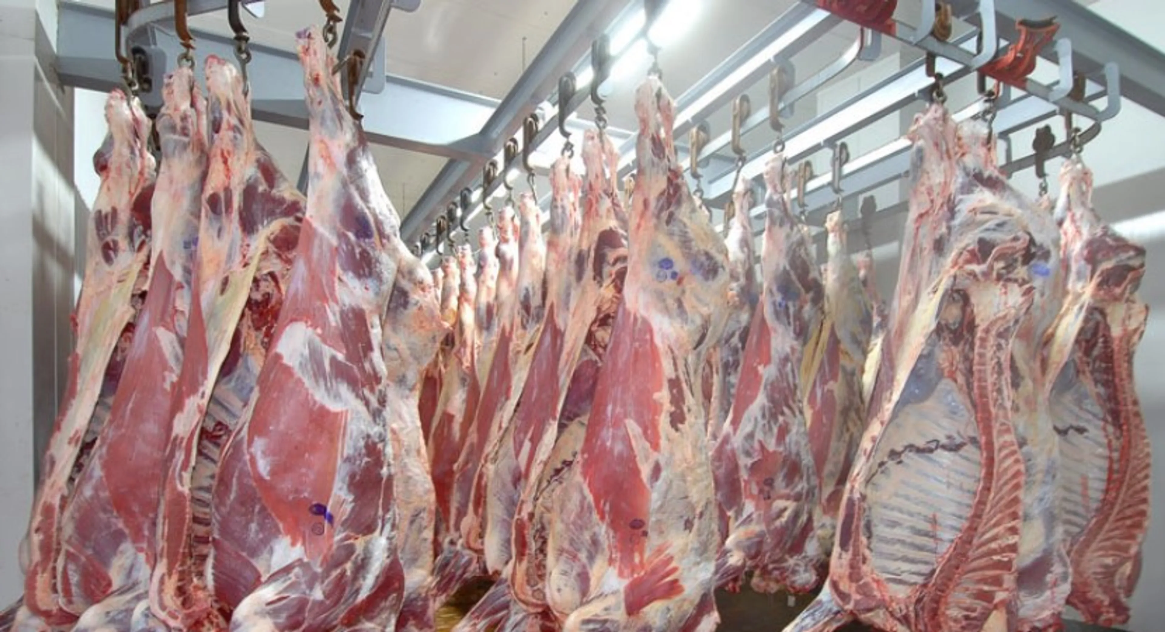 Капитал - Конина из Бурятии экспортируется в РК