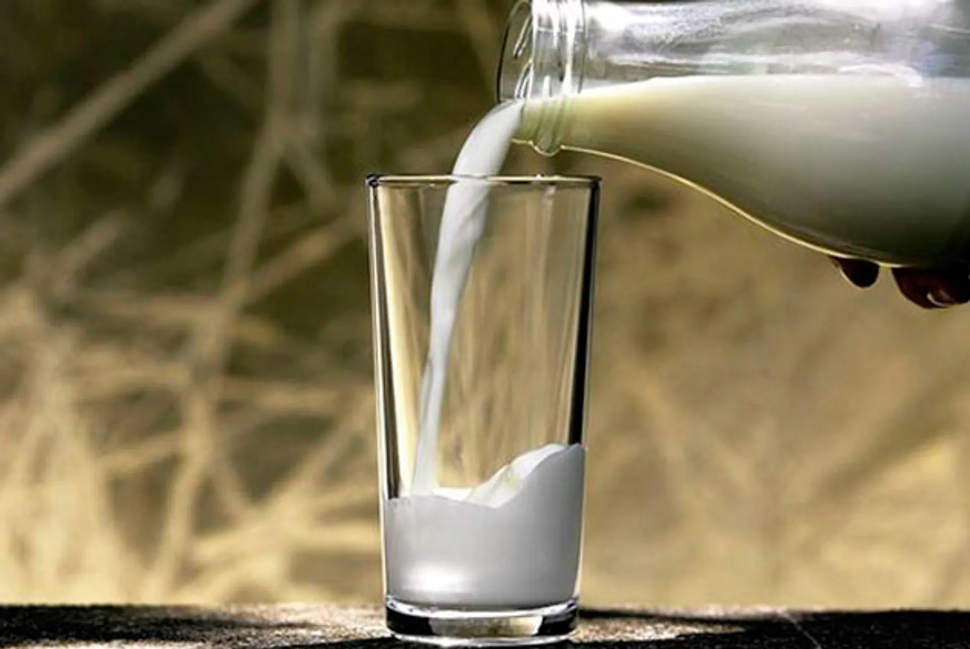 Капитал - Самым потребляемым продуктом среди казахстанцев стало молоко