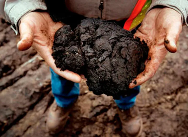 Капитал - Сланцевый бум в США может привести к расколу ОПЕК