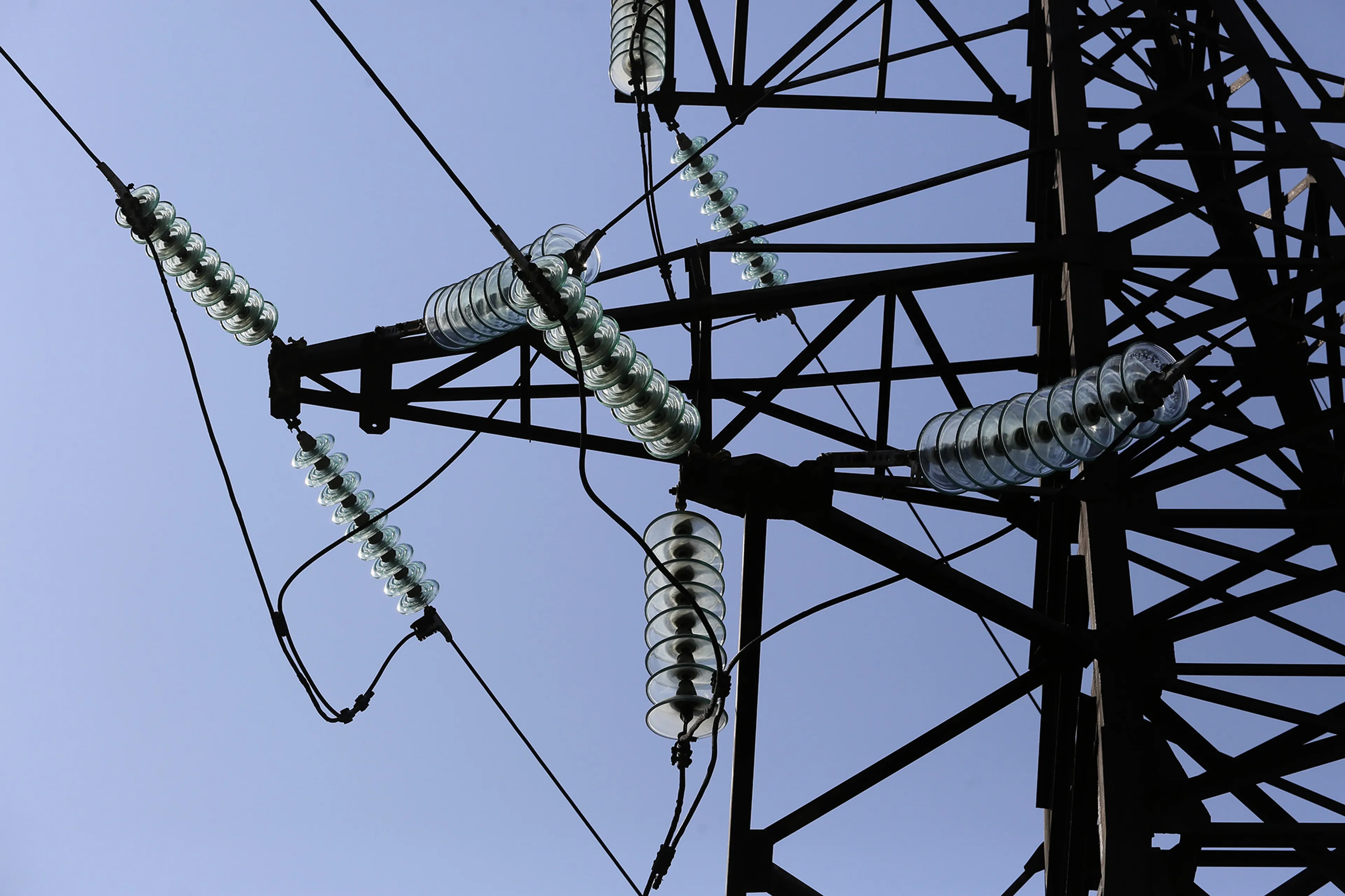 Фото: Руслан Пряников