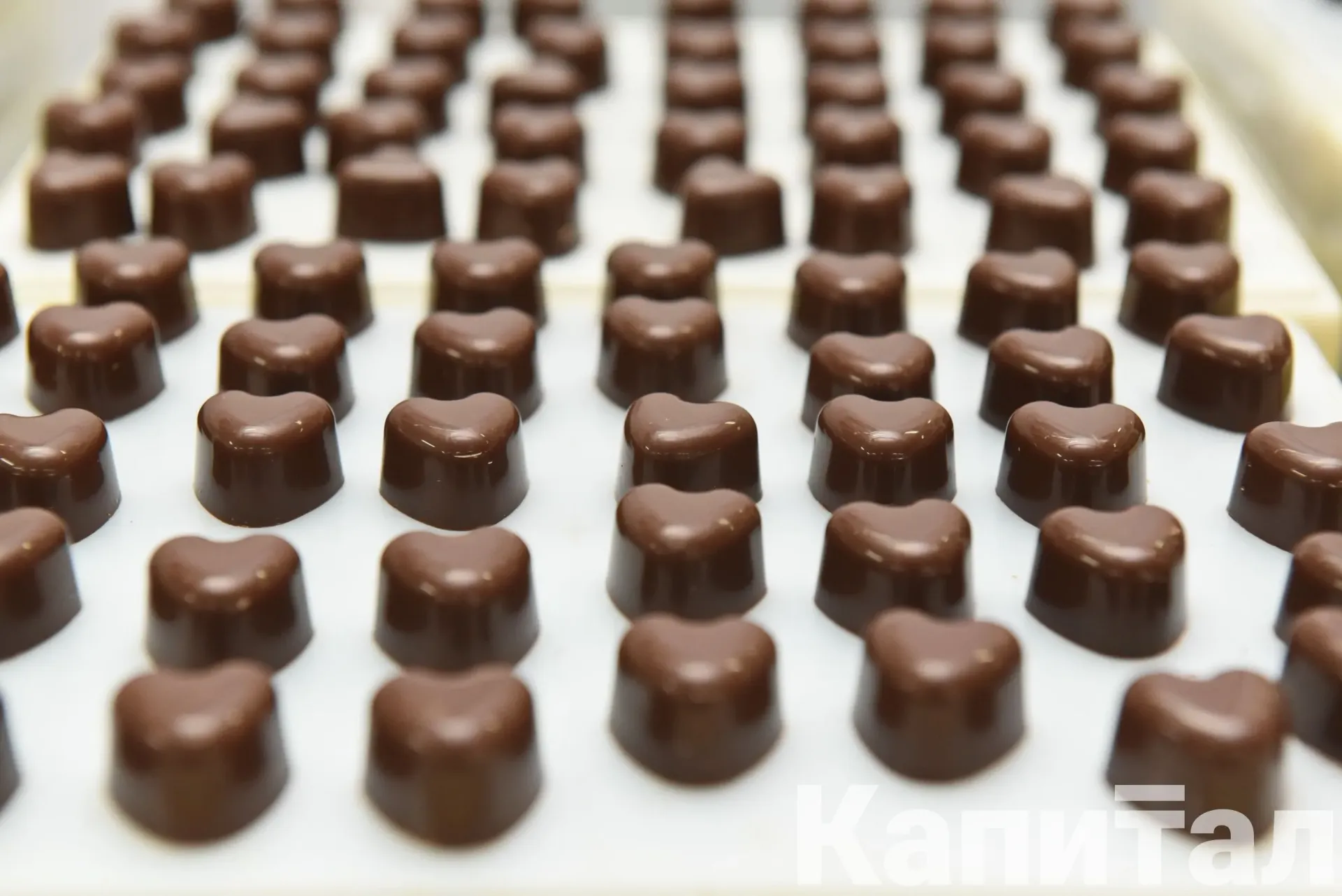 Капитал - В ЕАЭС вступили в силу единые требования по идентификации шоколада