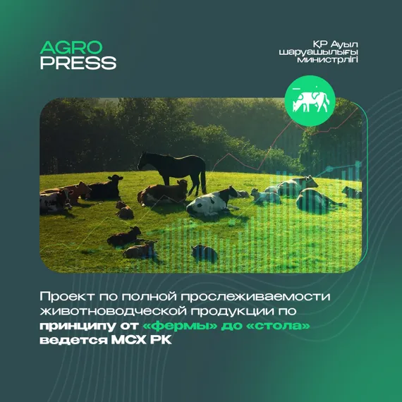 Капитал - В Казахстане введут полную прослеживаемость животноводческой продукции
