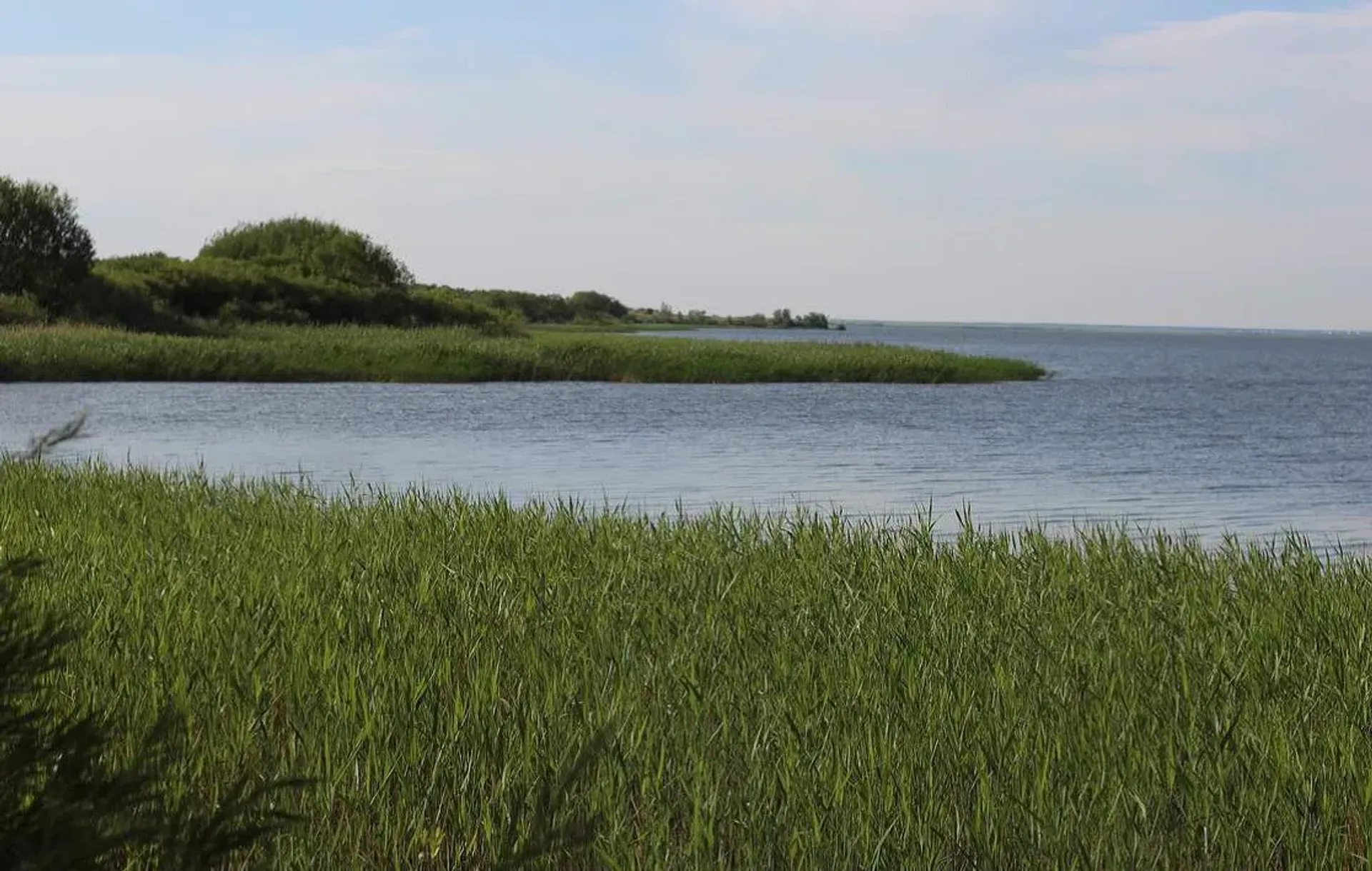 Фото: e-history.kz
  