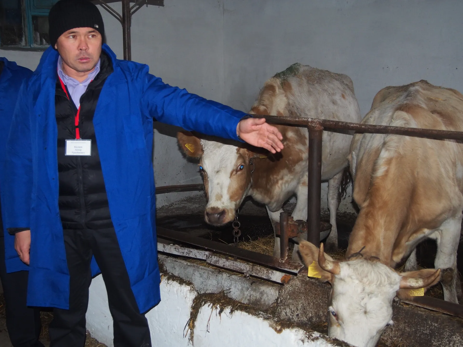 Капитал - Для молочных ферм семейного типа увеличена сумма займа