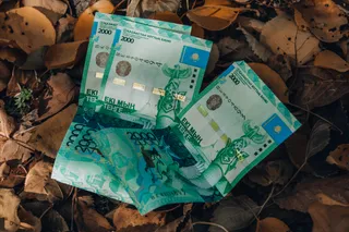 Фото: Валерия Змейкова