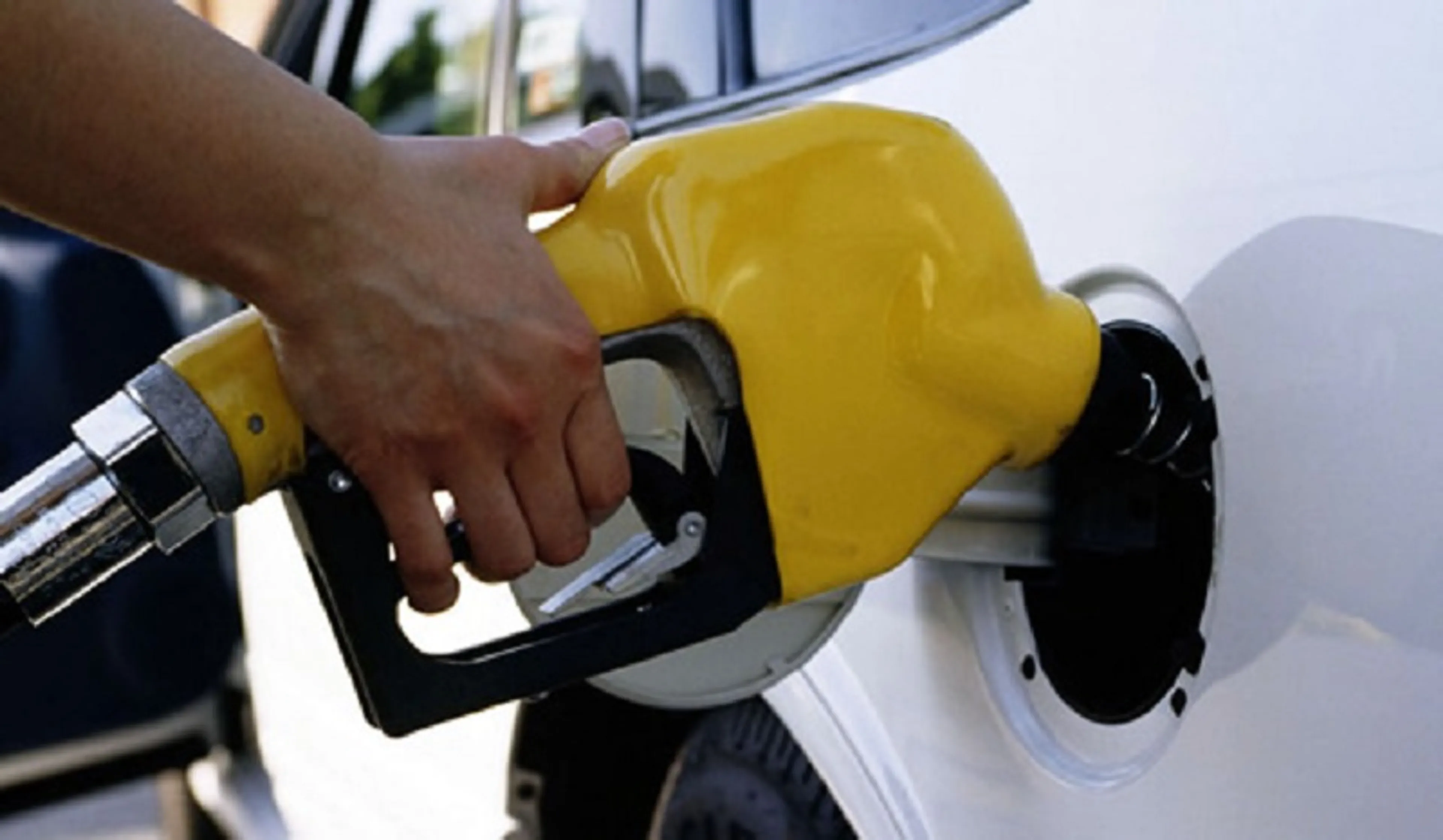 Капитал - В ЕС ограничили использование биотоплива