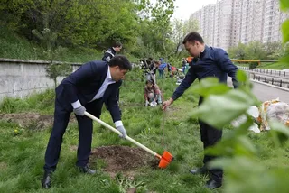 Капитал - Вдоль Большой Алматинки высажены сосны, ивы и сирень