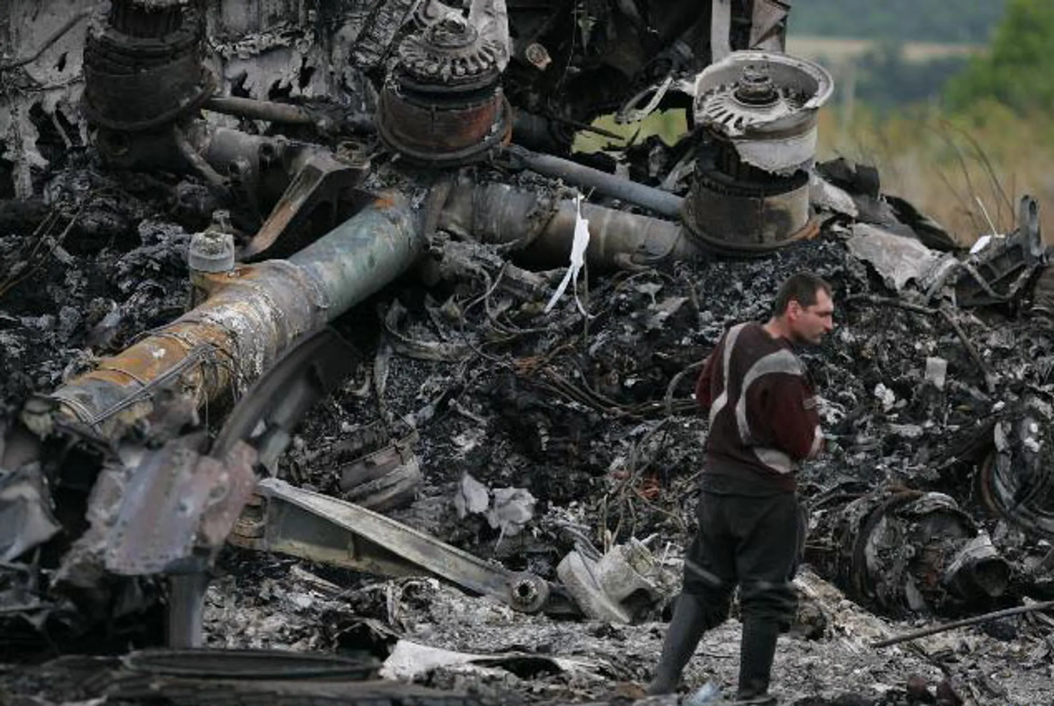 По авиакатастрофе под Донецком появилась новая версия - Image Kapital.kz