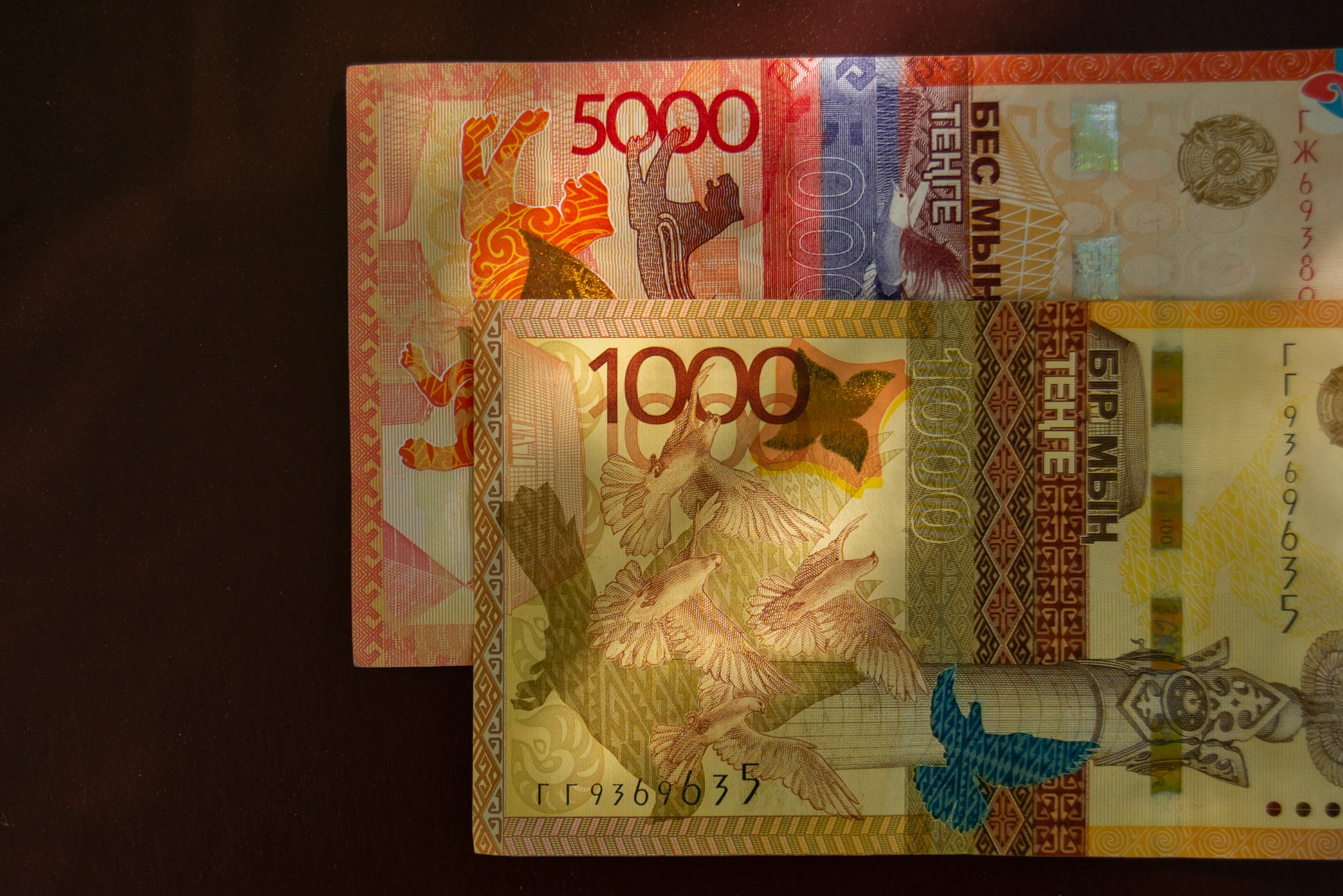 Фото: Валерия Змейкова