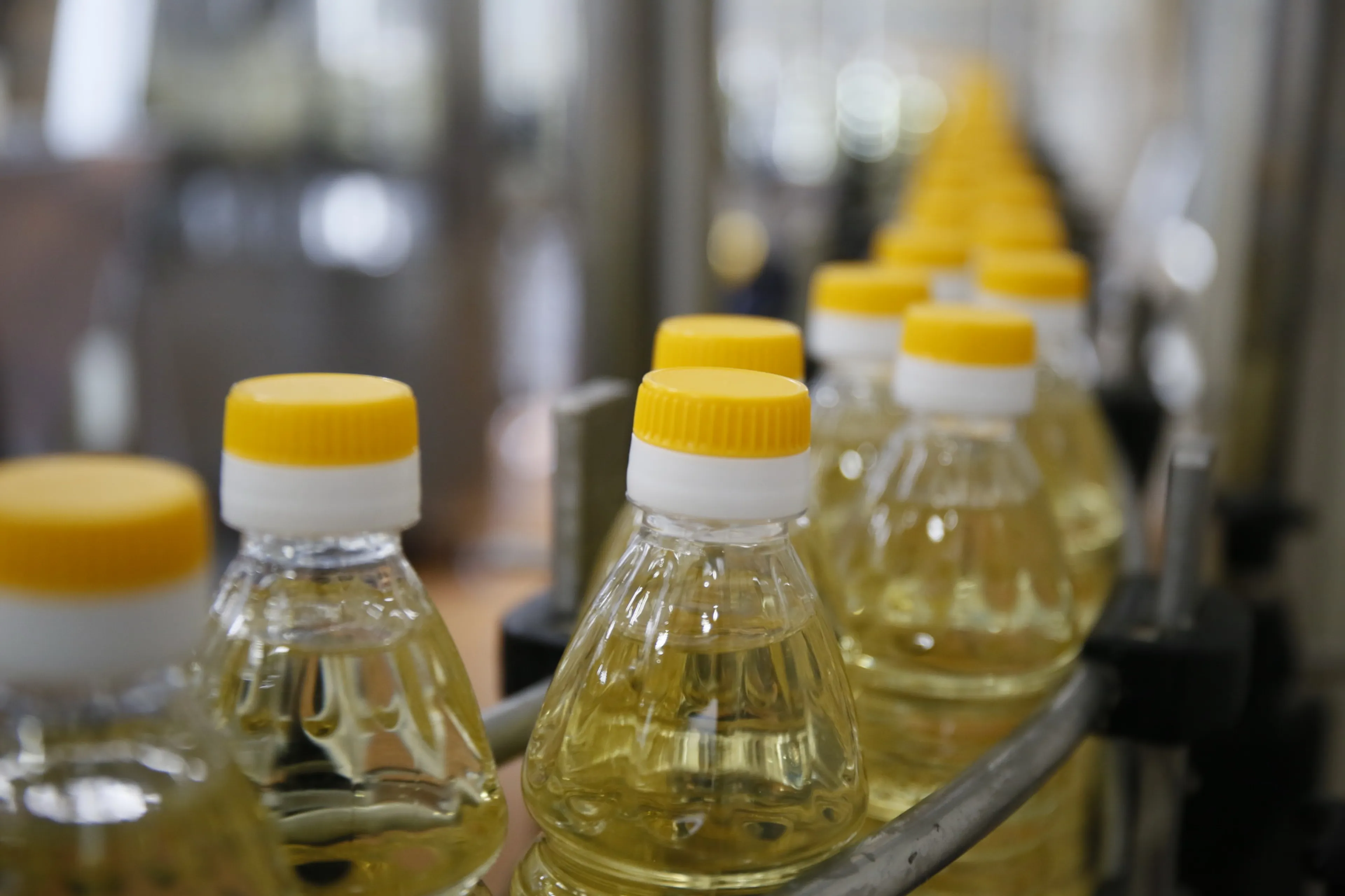 Фото: Руслан Пряников