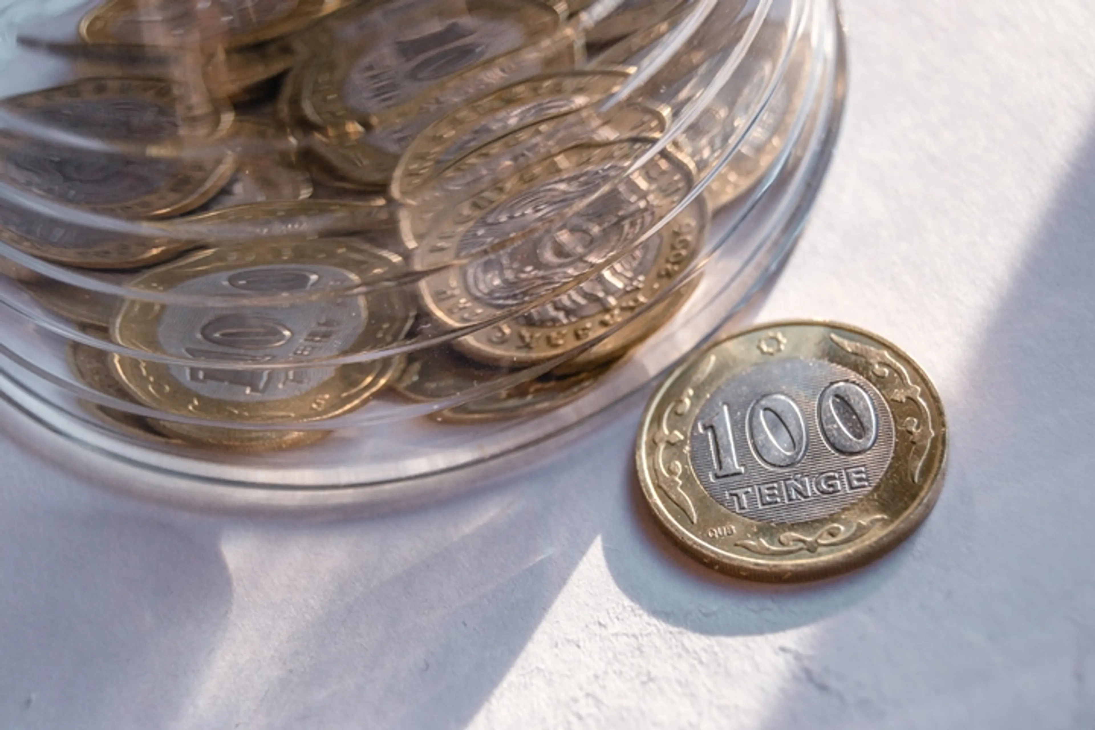 Фото: Валерия Змейкова 