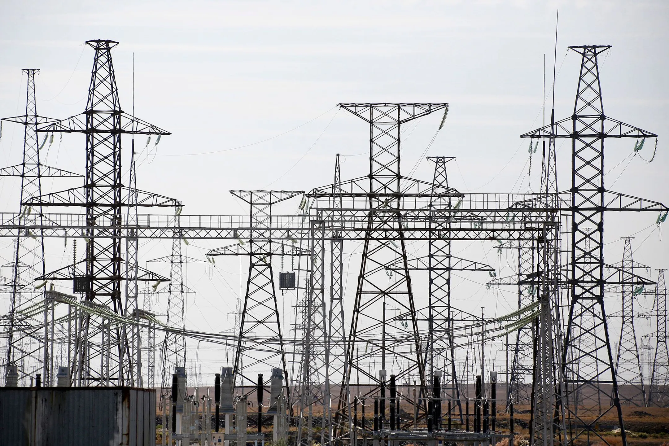 Фото: Руслан Пряников 