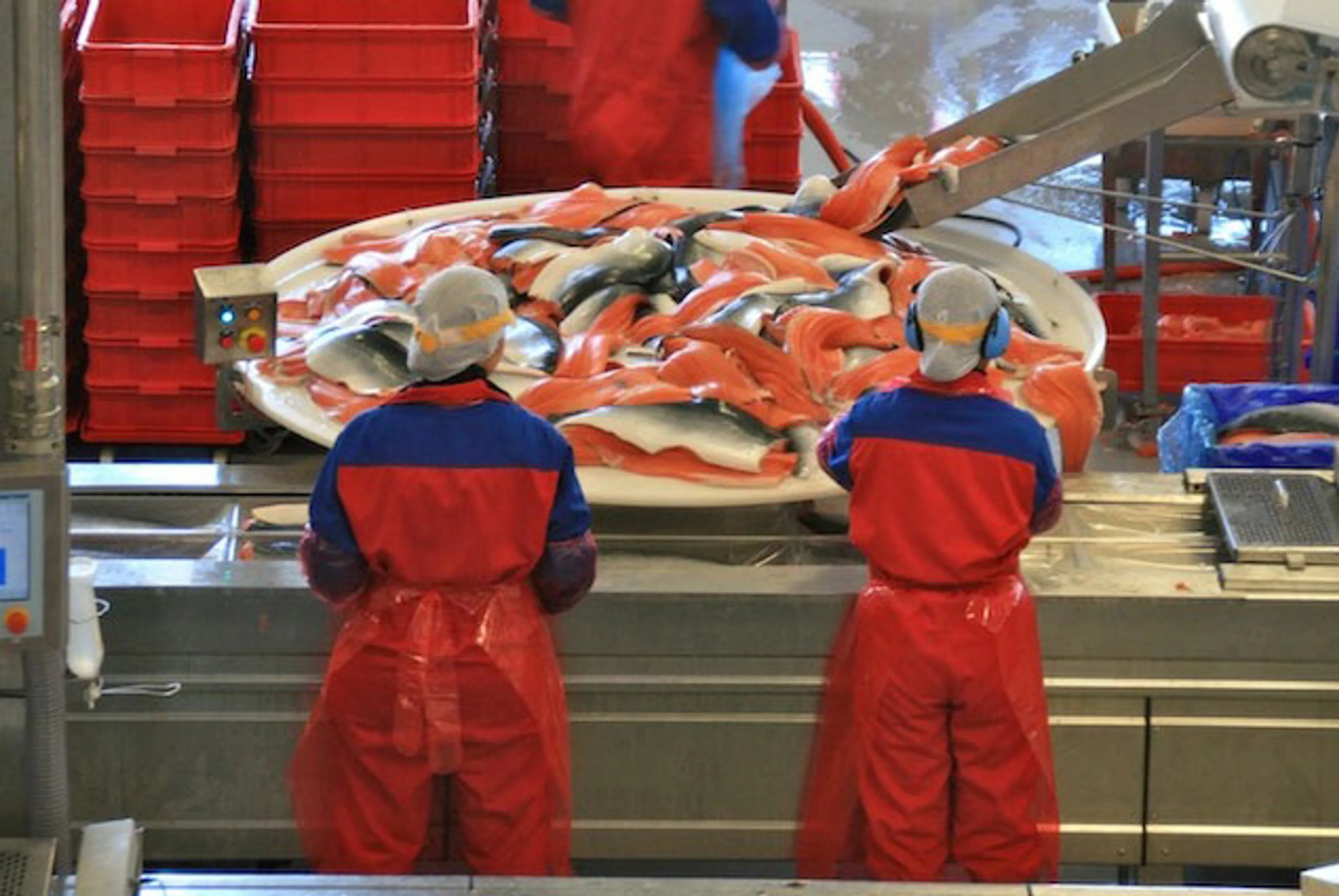 Капитал - Реэкспорт запрещенной продукции из Беларуси в РФ подтвердился