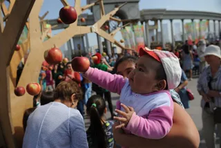 Капитал - Половина расходов бюджета Алматы приходится на соцсферу