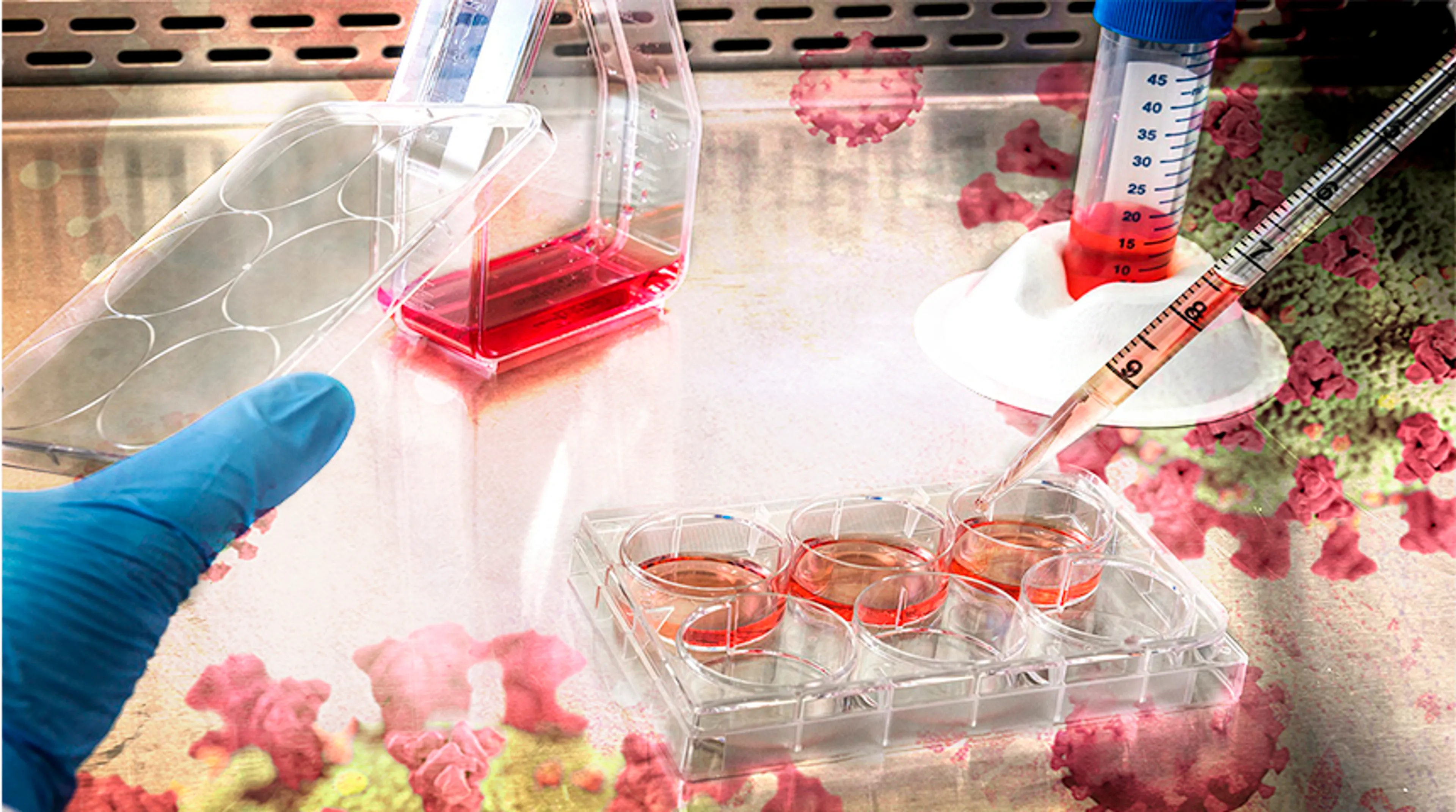 Капитал - Выявлено 39 новых случаев COVID-19